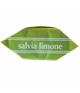 SALVIA LIMONE KG. 1